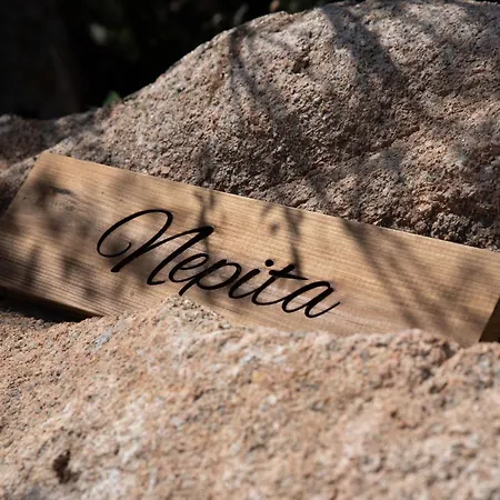 Les De Palombaggia *